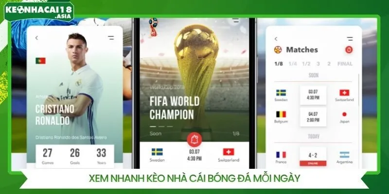 Xem nhanh kèo nhà cái mỗi ngày